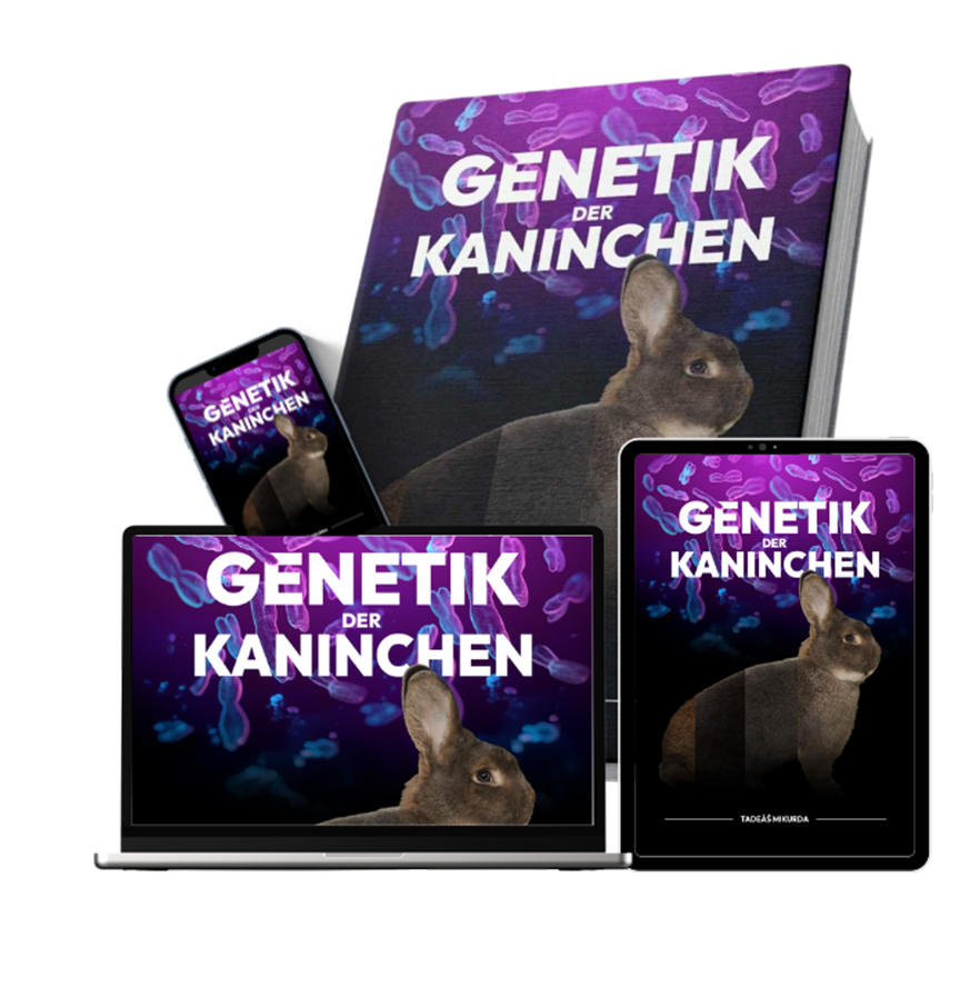 Genetik der Kaninchen kaufen